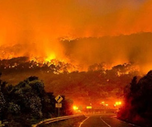Cháy rừng Australia thiêu rụi phần lớn khu du lịch nổi tiếng
