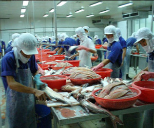 Phí bôi trơn chiếm hết lợi nhuận doanh nghiệp