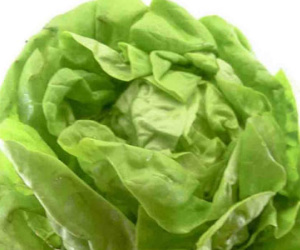 9 loại rau củ dính thuốc trừ sâu khủng khiếp nhất chợ