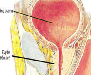 Hậu quả khi nam giới “tự sướng”