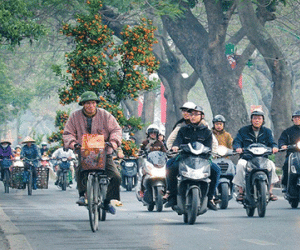 Chuyến xe "chở Tết" lên phố khiến lòng người xao xuyến, bồi hồi