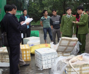 Phát hiện nửa tấn thịt bò "bẩn" được đóng dấu kiểm dịch