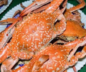 Vụ con ghẹ giá 700.000 đồng: Thanh tra Sở đích thân đi kiểm tra