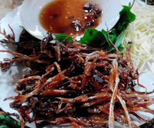 Cận Tết, giá “vũ nữ chân dài” tăng "chóng mặt" vẫn hút hàng
