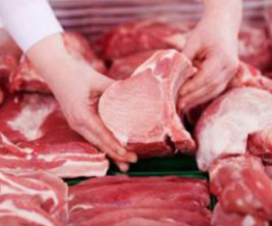 Đã khống chế được nguồn cung chất cấm trong chăn nuôi