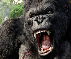 Phim "King Kong" phần 2 chuẩn bị quay tại Việt Nam