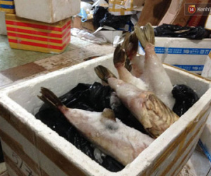 Bắt hơn 5 tấn hải sản đang phân hủy trong một kho hàng tại Hà Nội