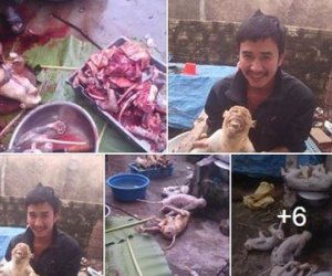 Công an xác minh nam thanh niên khoe giết khỉ trên Facebook
