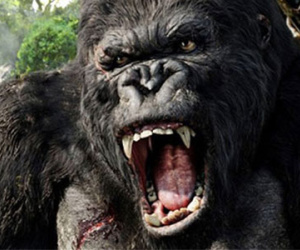 Cục trưởng Cục Điện ảnh: "King Kong đến, ta được gì?"