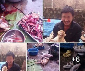 Triệu tập nam thanh niên đưa ảnh khỉ bị giết lên facebook