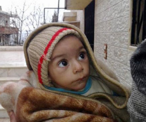Ăn hết chó mèo, 40.000 người Syria phải ăn cỏ để sống