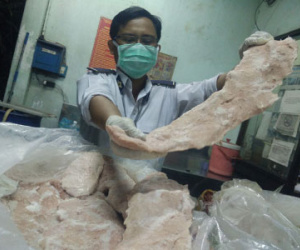 Thêm 1,2 tấn vú heo thối "biến thành" vú dê nướng bị bắt ở Sài Gòn