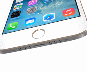 Ảnh bìa bài viết 338032