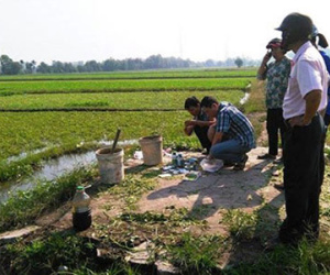 Ăn rau muống tưới nhớt thải bị bệnh gì?