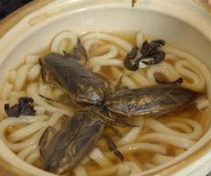 Chủ nhà hàng trả lời "bá đạo" khi khách tố có gián trong đồ ăn
