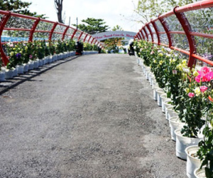 Đại gia cưới con gái 14 tỷ xây dựng công trình không phép