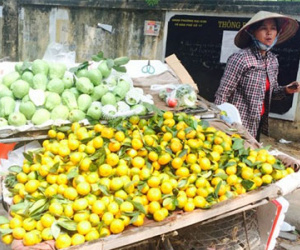 Trái cây Trung Quốc ùn ùn dội chợ