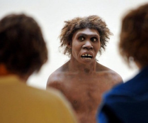 Bệnh dị ứng do người Neanderthal giao phối tổ tiên loài người?