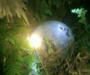 Lại phát hiện vật thể lạ rơi vào vườn nhà dân ở Tuyên Quang