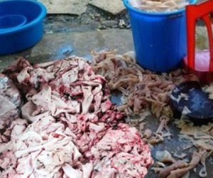Xem xong những hình ảnh này, bạn còn muốn ăn nem chua?