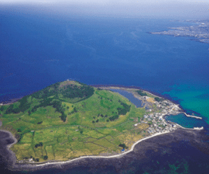 Tìm thấy thêm 9 người Việt trong nhóm mất tích ở Jeju