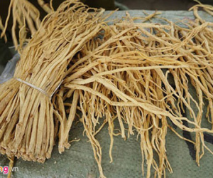 Chặn 10 tấn thuốc bắc Trung Quốc chờ ra chợ dược liệu