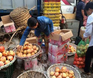 Tiết lộ rợn người của chủ buôn hoa quả Trung Quốc 15 năm