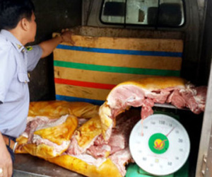 Xịt sơn vào lông heo để giả làm thịt heo rừng lai
