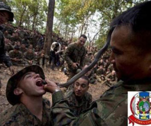 Tập trận Hổ Mang Vàng 2016: Việt Nam tham gia quan sát?
