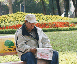 Người Hà Nội thích thú đón nắng ấm sau chuỗi ngày giá rét lịch sử