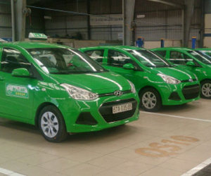 TP HCM sa thải 642 tài xế taxi