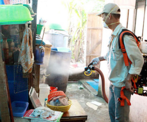 Việt Nam có muỗi truyền bệnh Zika, nguy cơ bùng phát dịch