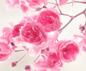 Vận may ngày chủ nhật (31/1)