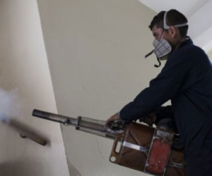 Virus Zika có thể lây nhiễm từ người sang người qua đường tình dục