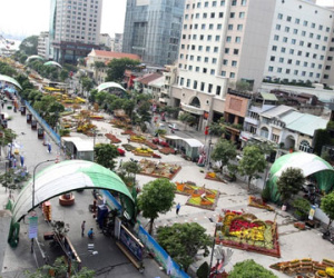 Đường hoa Nguyễn Huệ dần thành hình