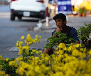 Bán tháo, đập bể hoa chiều 29 Tết ở Sài Gòn