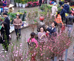 Rực rỡ phiên chợ Hà Nội cuối năm