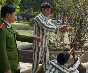 Tết của tử tù - Nơi chẳng ai muốn một lần… sống thử