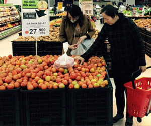 70.000 đồng/kg cà chua sau Tết