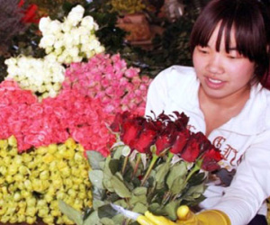 "Cháy" hoa hồng ngày lễ Tình nhân