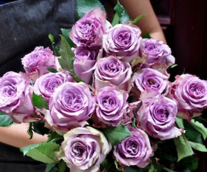 250.000 đồng một cành hoa hồng dài 1,6m ngày Valentine