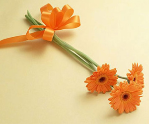 Vận may ngày thứ tư (17/2)