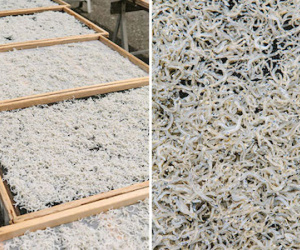 Cá cơm bao tử Nhật 1 triệu/kg: Giải ngấy sau Tết