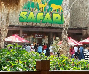 135 khỉ trốn thoát, 100 thú chết ở Vinpearl Safari Phú Quốc