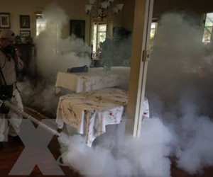 Một phụ nữ Mexico nhiễm virus Zika vẫn sinh con khỏe mạnh