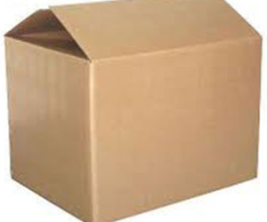 Tá hỏa khi phát hiện thùng giấy chứa bộ xương người trên trần nhà