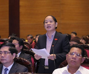 Vào Quốc hội mà lặng thinh, vào làm gì?