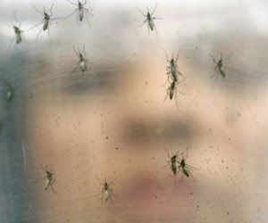 Cuba huy động hơn 9000 binh sỹ tham gia chiến dịch chống virus Zika