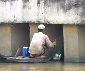 "Sát thủ" ngang nhiên diệt cá trên kênh Nhiêu Lộc