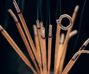 Clip: Sự thật đáng sợ đằng sau những cây hương thơm và cong